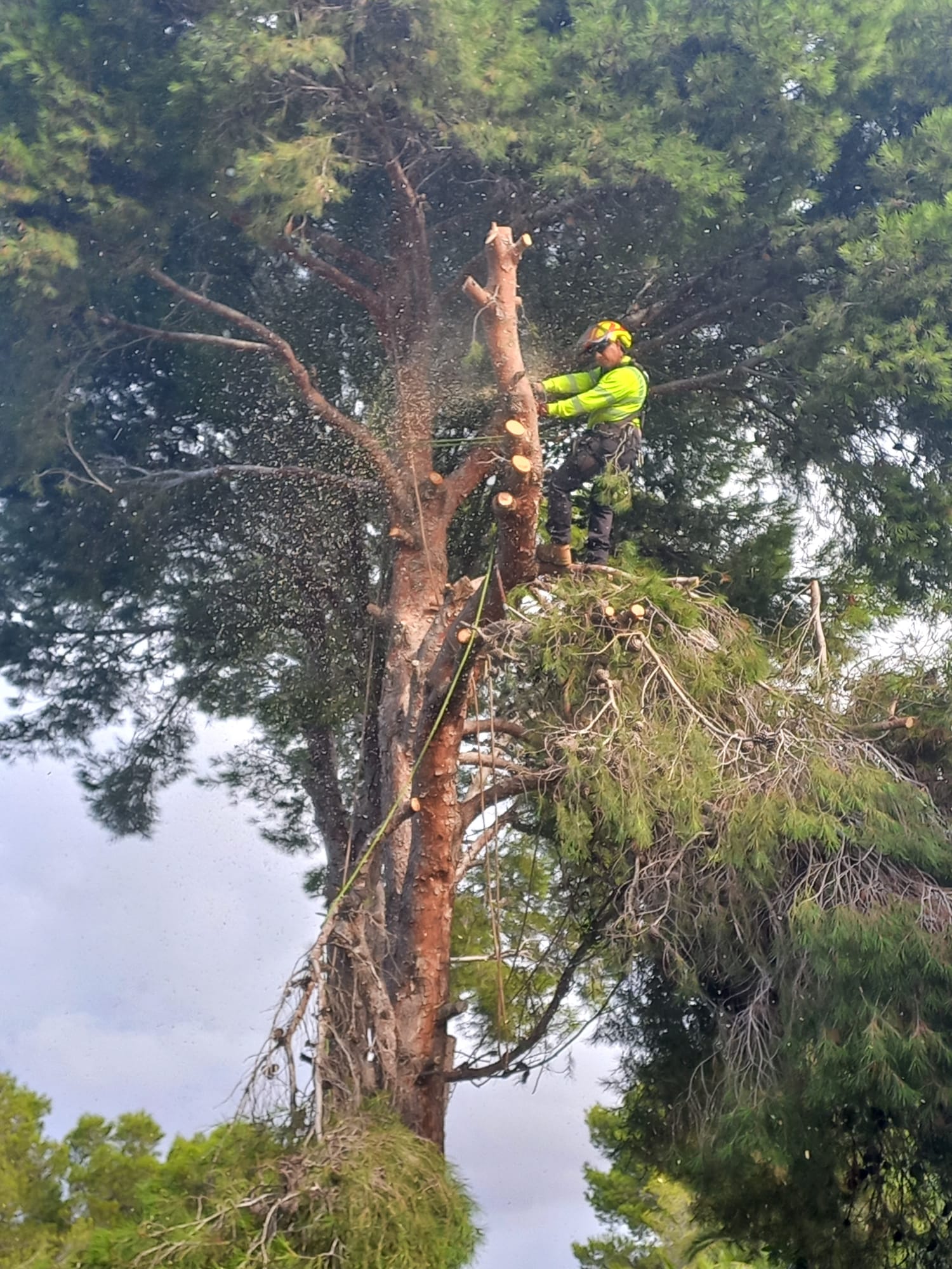 Maquinaria profesional para mantenimiento de jardines en Benissa
