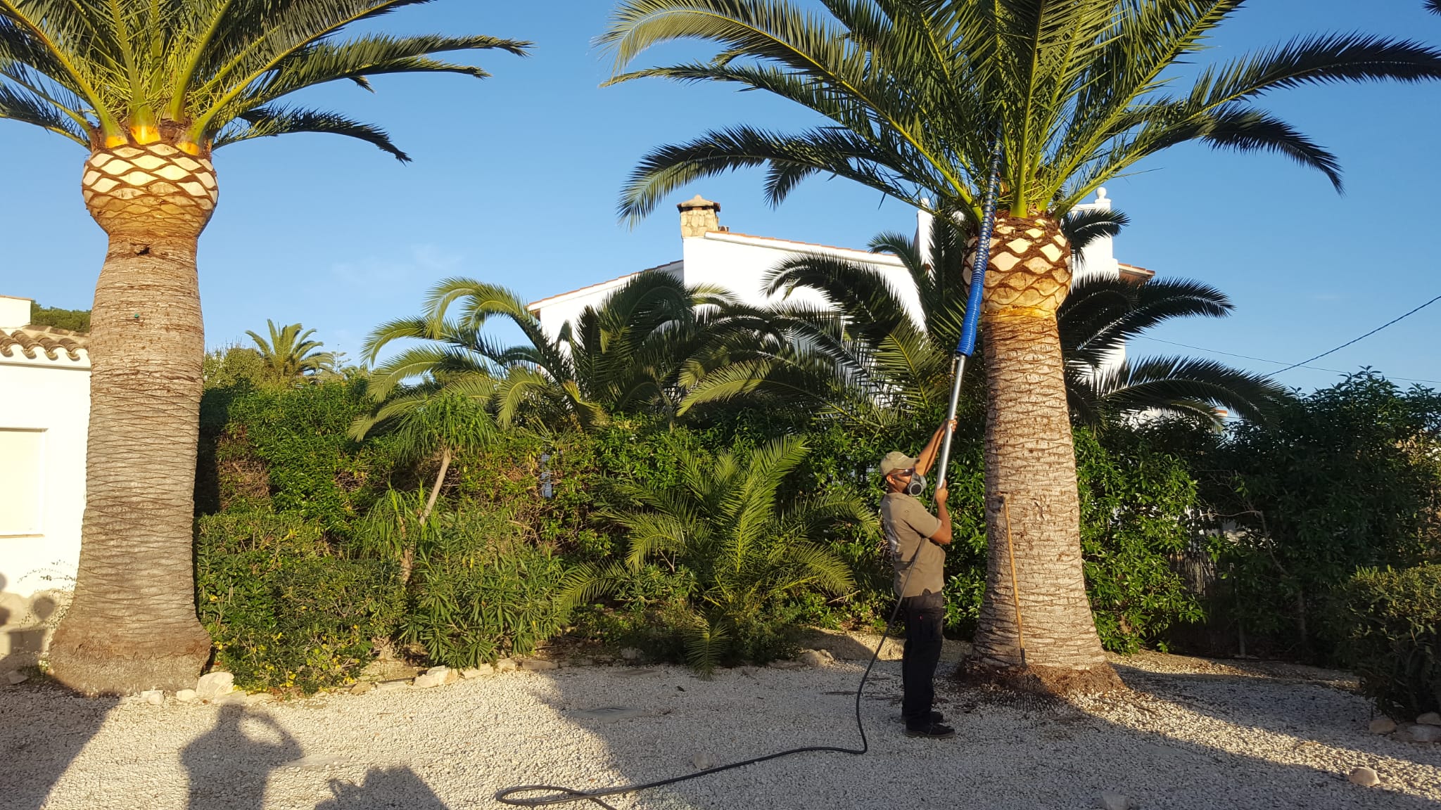 Construcción y diseño de jardines sostenibles en Benidorm
